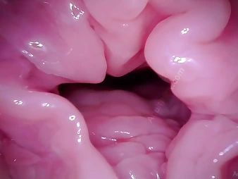Watch Muff Coaster's Labia get a camera in POV - A hymen fetish video!